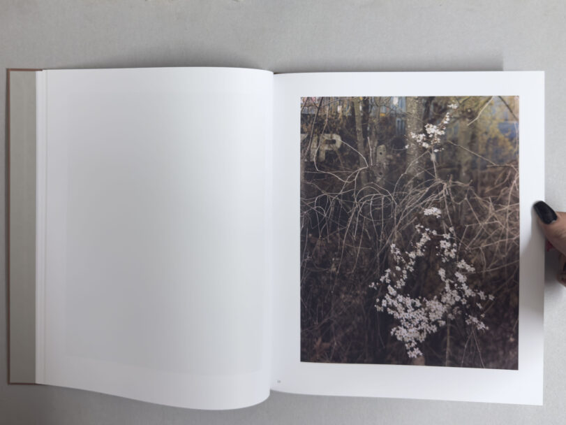 MisiaBottaro_inprovincia_2