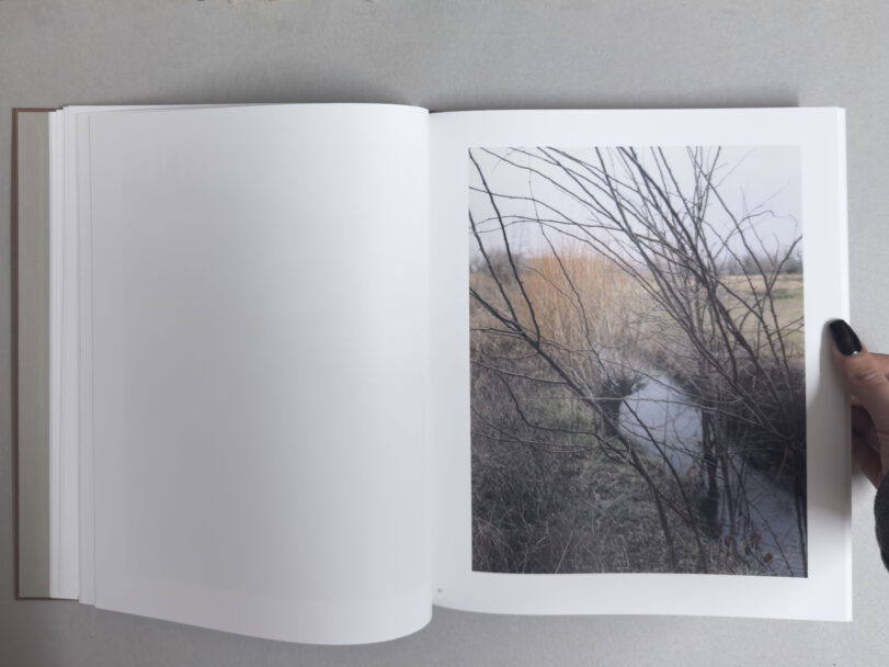 MisiaBottaro_inprovincia_3