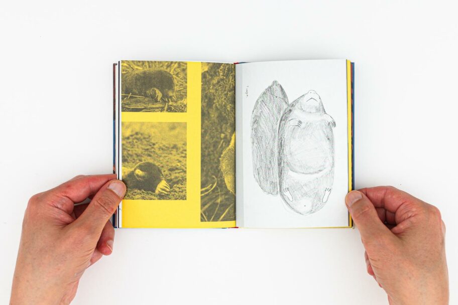 VERA-MURATET_TOUT-VA-BIEN-38