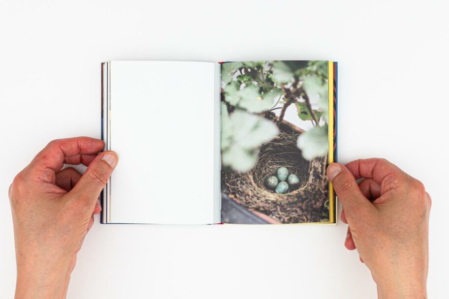 VERA-MURATET_TOUT-VA-BIEN-41