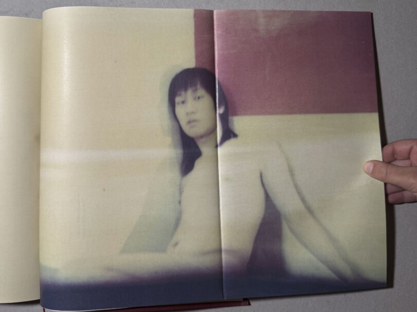 Deceptions_MisiaBottaro (10)