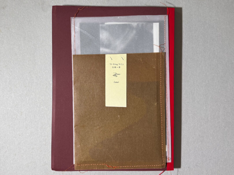 Deceptions_MisiaBottaro (11)