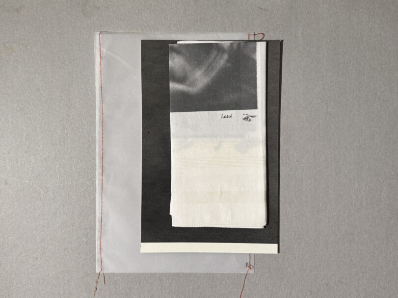 Deceptions_MisiaBottaro (2)