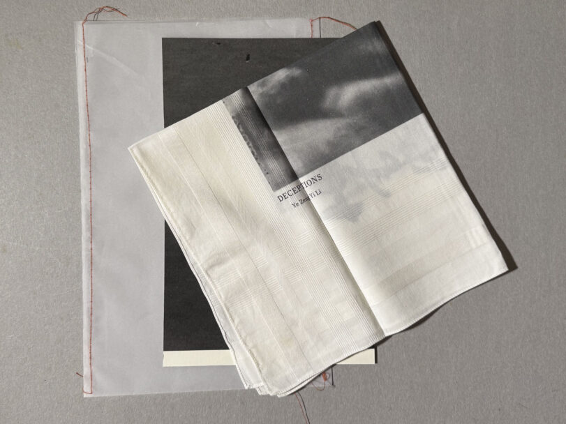 Deceptions_MisiaBottaro (3)