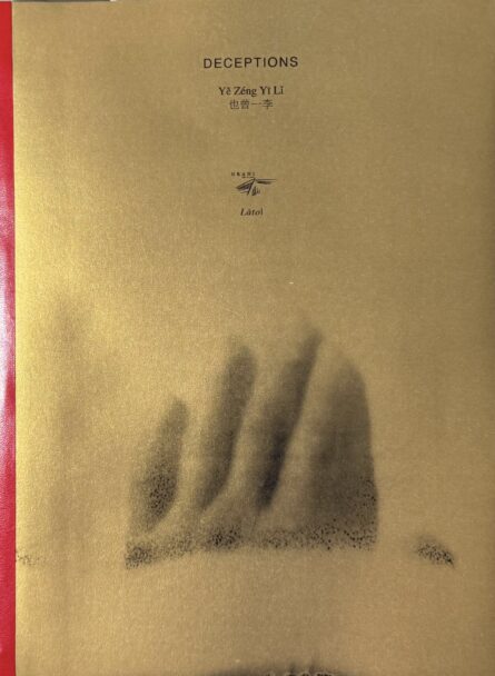 Deceptions_MisiaBottaro (4)