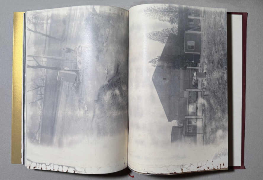 Deceptions_MisiaBottaro (9)