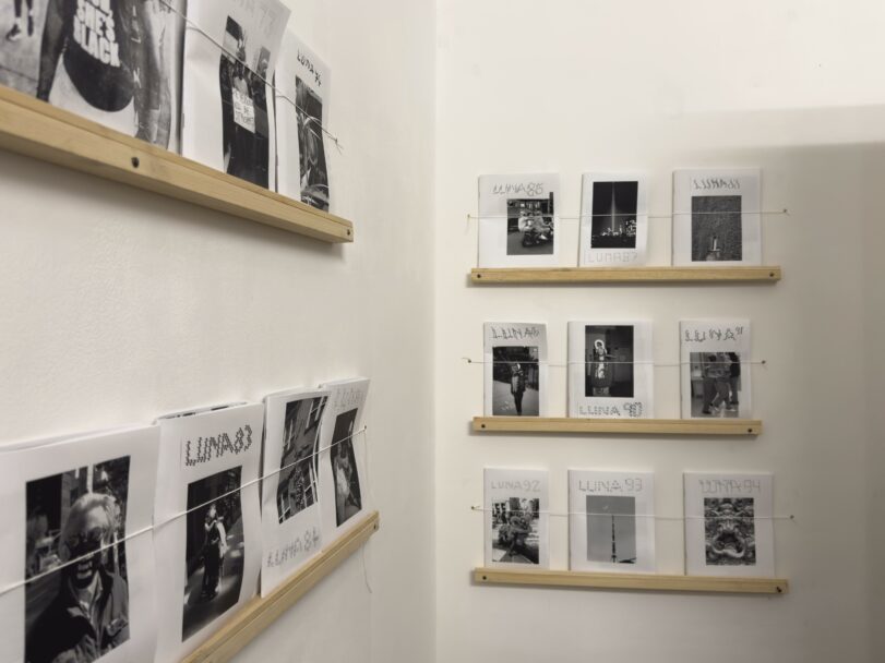 WhatsApp Image 2025-03-14 at 18.34.07