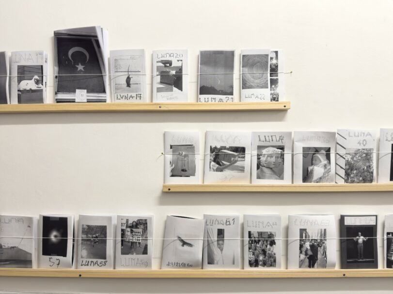 WhatsApp Image 2025-03-14 at 18.34.21