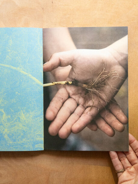 interni_futura tittaferrante.9257