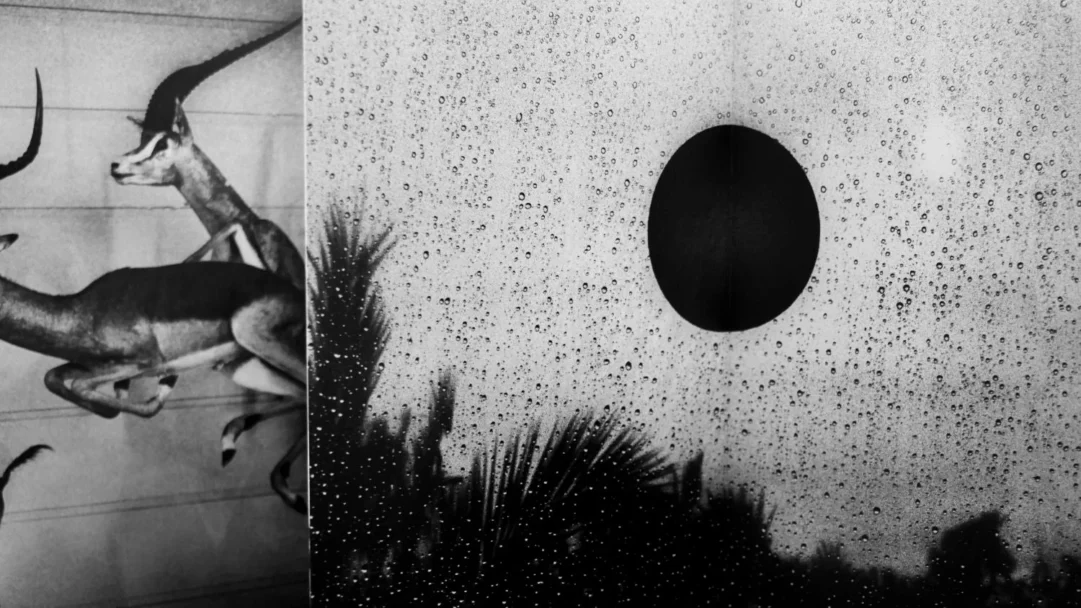 tumult-by-yusuf-sevincli-595095