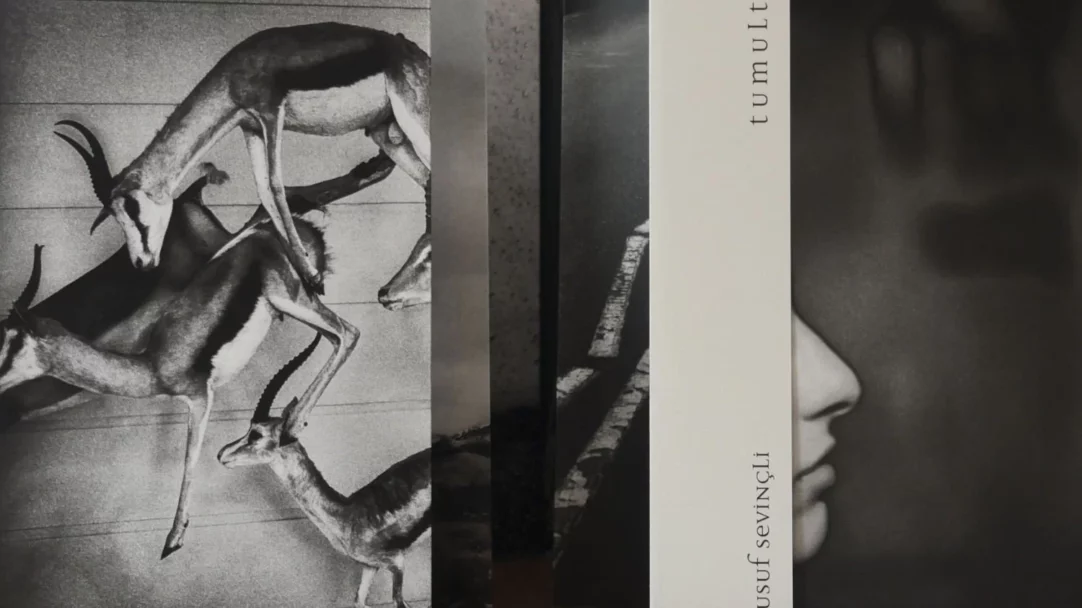 tumult-by-yusuf-sevincli-843556