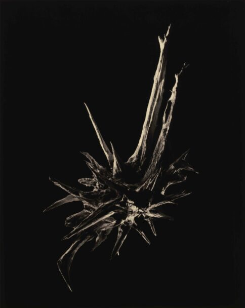 9788410290051_05-scaled