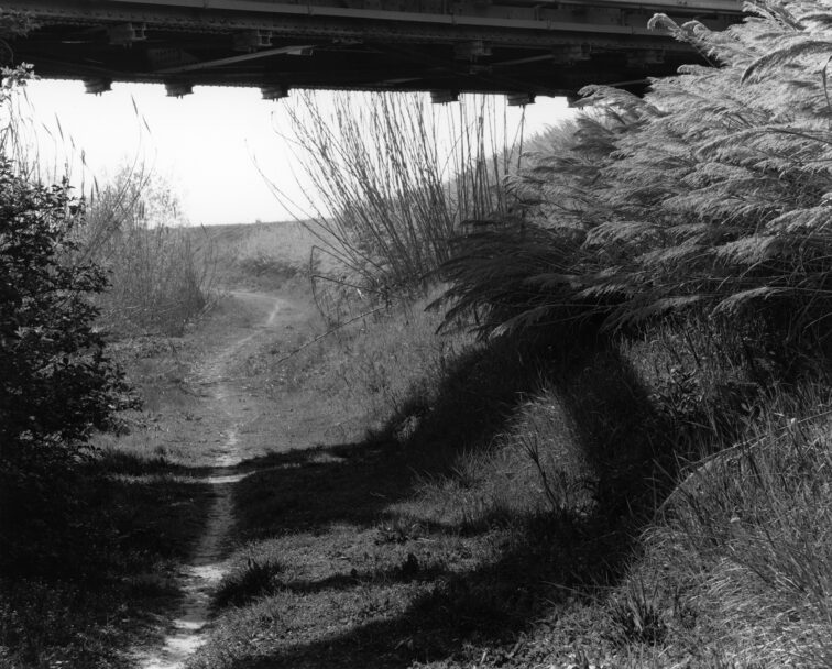 Ballardini-Heimat-Stampe_14