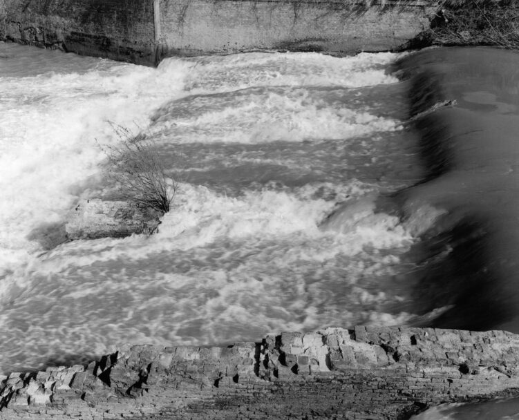 Ballardini-Heimat-Stampe_3