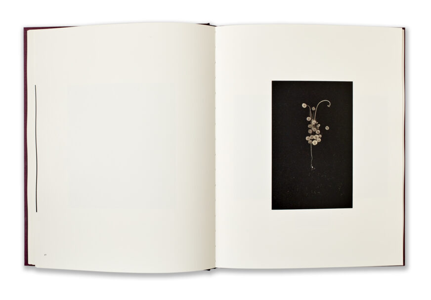 Yamamoto_Masao_Small_Things_in_Silence_5