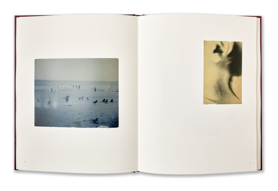 Yamamoto_Masao_Small_Things_in_Silence_9