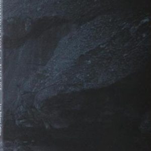 Immersed in Stone - Black Ice