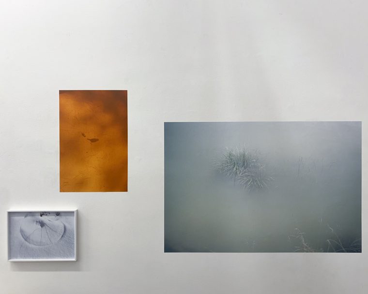 LINELOKKEN_EXHIBITION_5