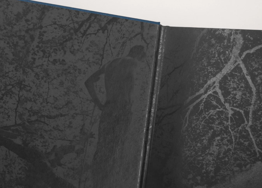 5_4a9f5009-c06f-4694-a670-d15bad881ad1