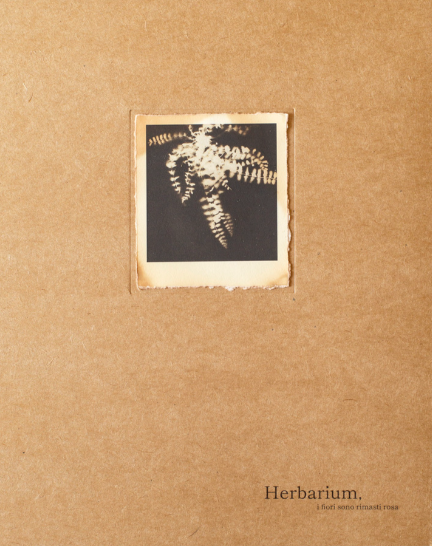 Schermafbeelding 2025-07-04 om 19.47.06