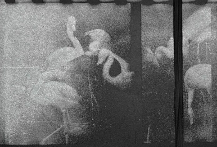 Schermafbeelding 2025-07-10 om 18.48.00