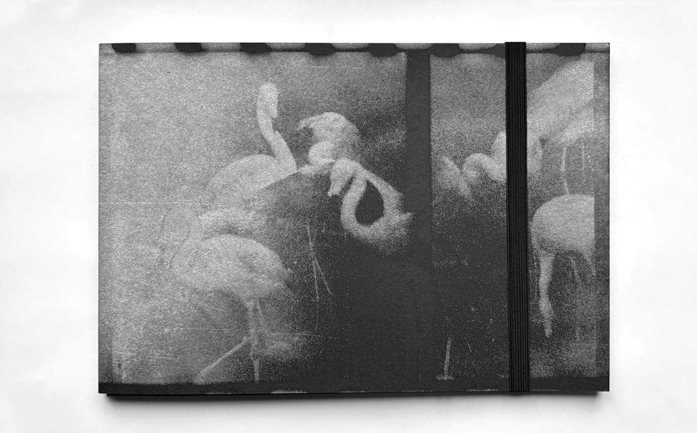 WhatsApp Image 2025-07-10 at 18.26.20 (3)