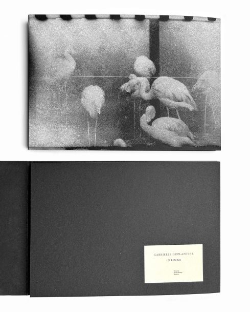 WhatsApp Image 2025-07-10 at 18.26.20