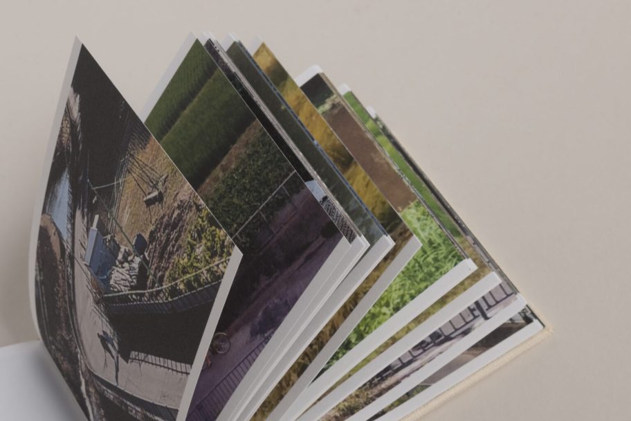 untitled-0004-4-1-1536x1024