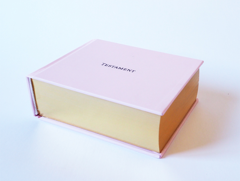 1_Sabine Delafon_Testament_Cura.books