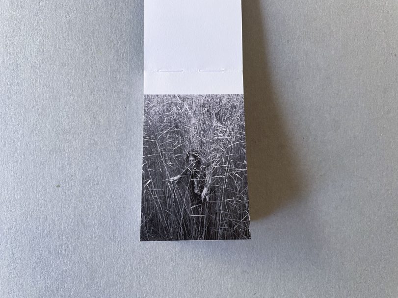 A Good Place To Hide05