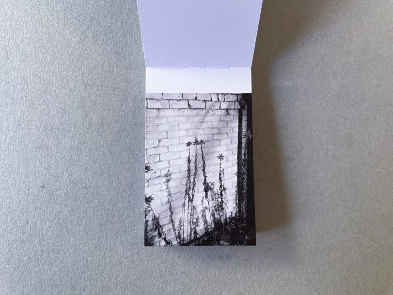 A Good Place To Hide08