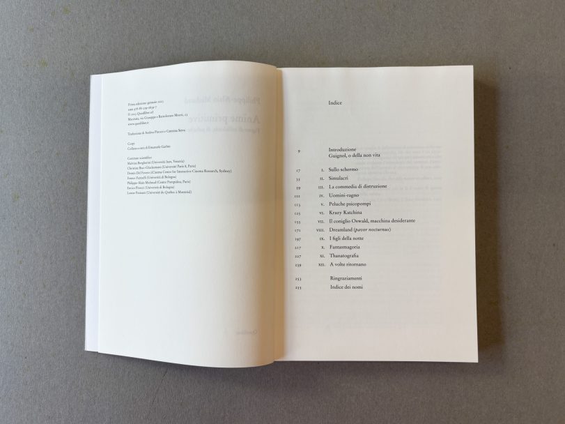 Anime-Primitive_Philippe-Alain-Michaud_003