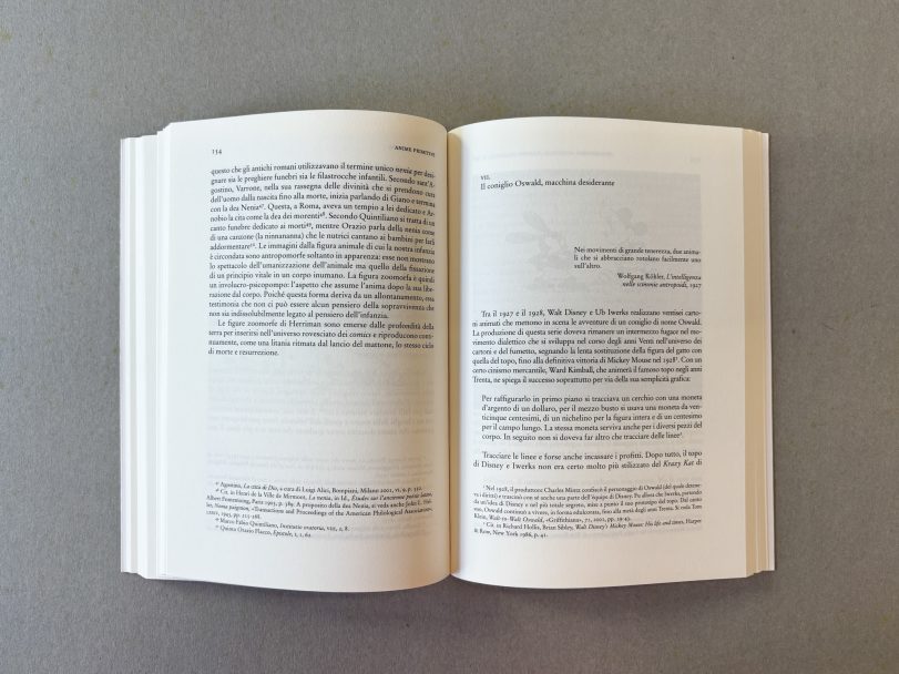 Anime-Primitive_Philippe-Alain-Michaud_009