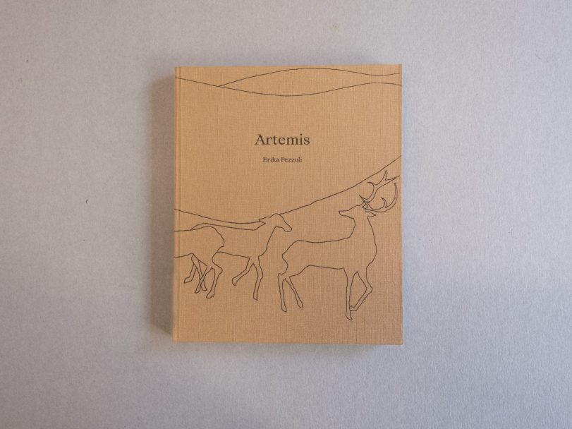 Artemis_Erika-Pezzoli_001