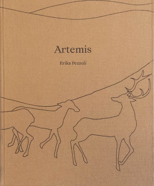 Artemis_Erika-Pezzoli_002