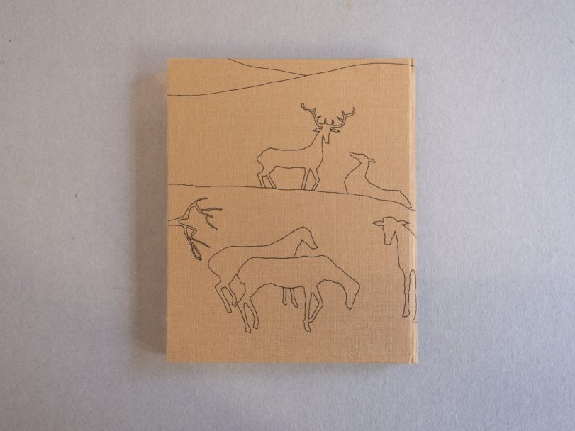 Artemis_Erika-Pezzoli_003