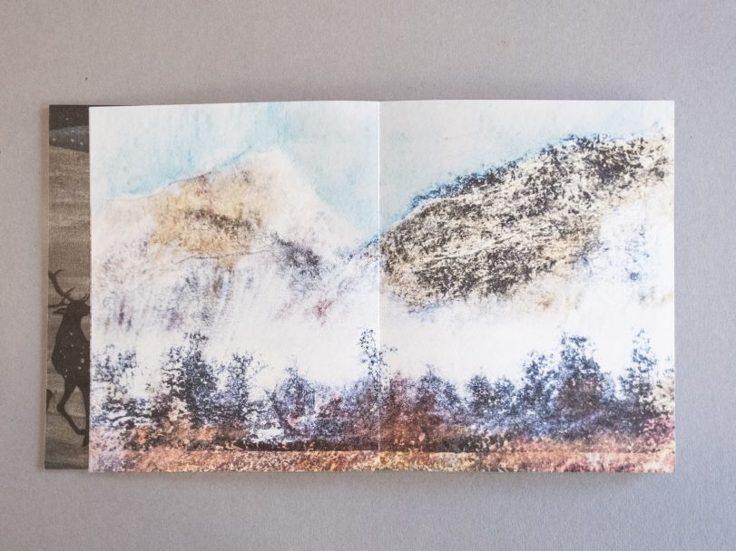 Artemis_Erika-Pezzoli_005