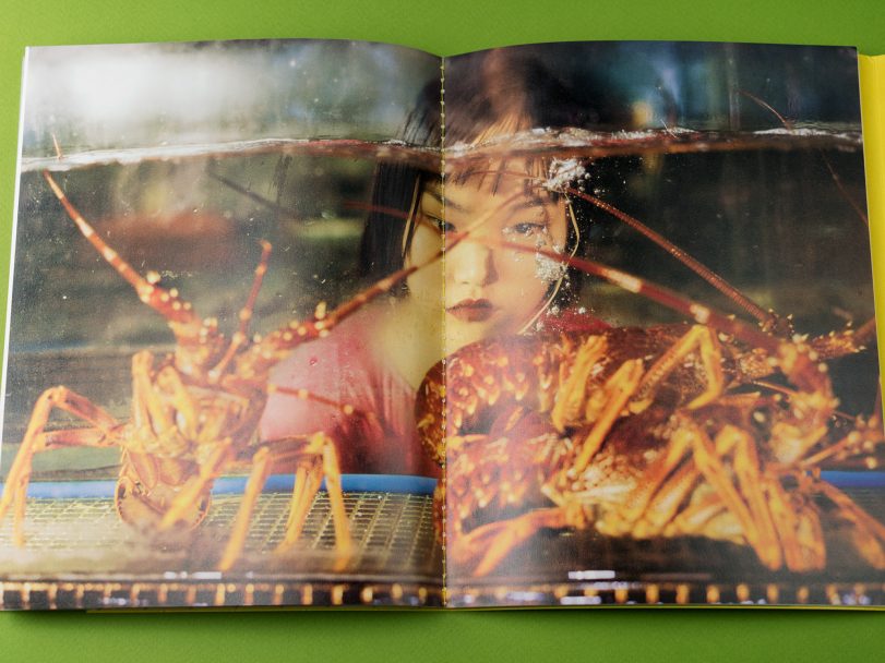 Carpe-Diem_Luo-Yang_012