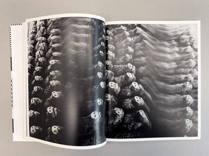 Homo-Ludens_Masahisa-Fukase_005