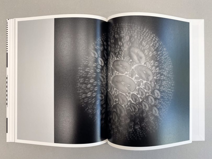 Homo-Ludens_Masahisa-Fukase_012