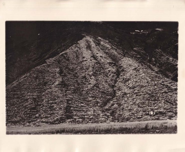 IMG_20240816_0007 copy