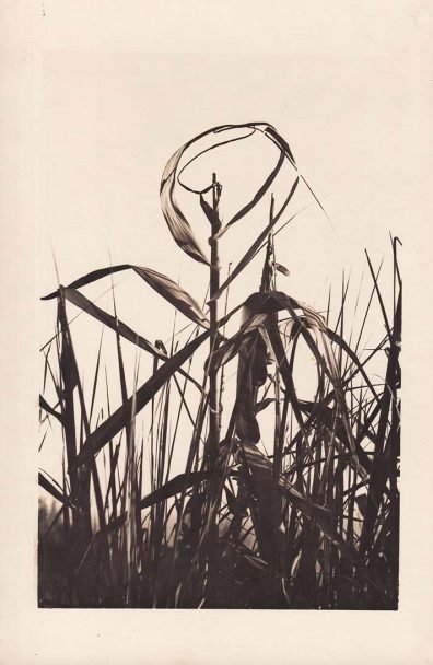 IMG_20240816_0009 copy