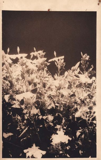 IMG_20240816_0014 copy