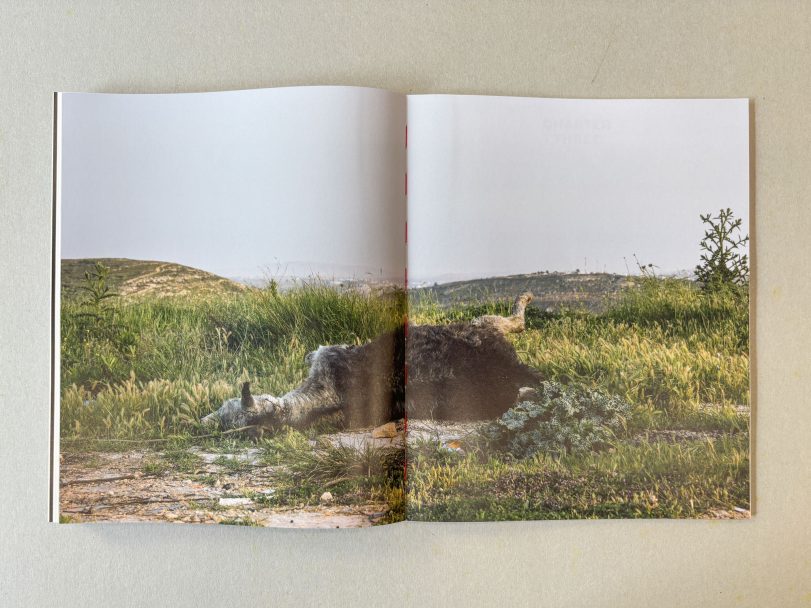 Landing_Mean-Hammad010