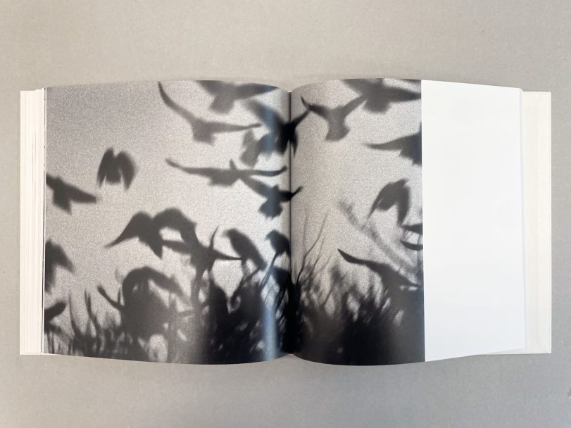 Yoko_Masahisa-Fukase_009