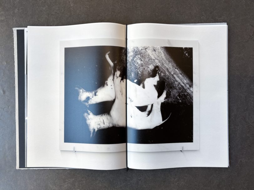 Bones-Apart_Olivier-Pin-Fat_006