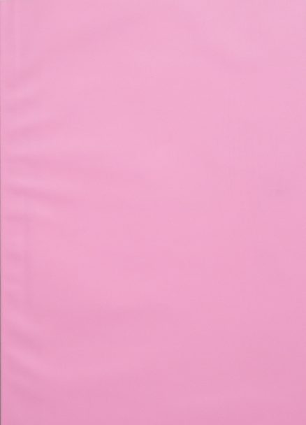 Bubble-Gum-Stuck_Carolina-Pimenta_003