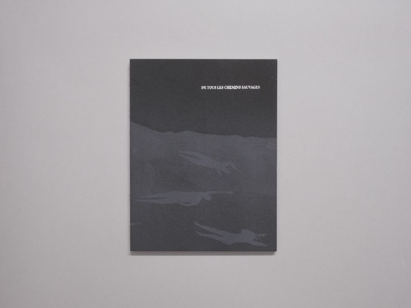 De-tous-les-chemins-sauvages_Claire-Amaouche_001