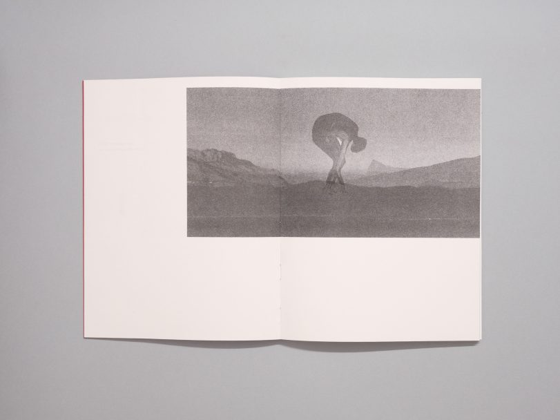 De-tous-les-chemins-sauvages_Claire-Amaouche_004