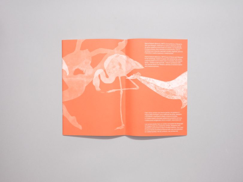 Down-Dog_Marta-Roberti_005